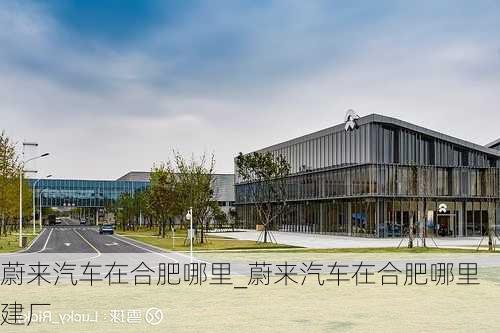 蔚来汽车在合肥哪里_蔚来汽车在合肥哪里建厂