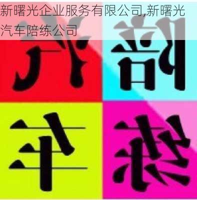 新曙光企业服务有限公司,新曙光汽车陪练公司