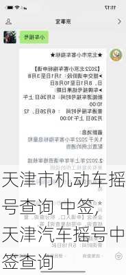 天津市机动车摇号查询 中签,天津汽车摇号中签查询