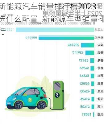 新能源汽车销量排行榜2023选什么配置_新能源车型销量排行