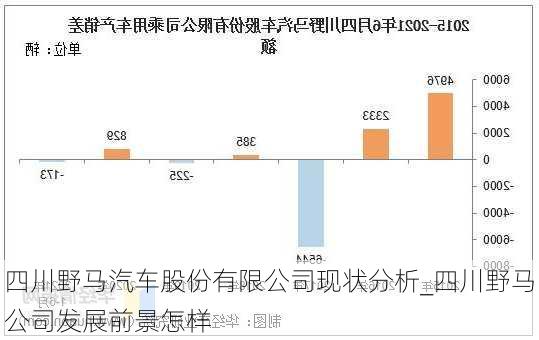 四川野马汽车股份有限公司现状分析_四川野马公司发展前景怎样