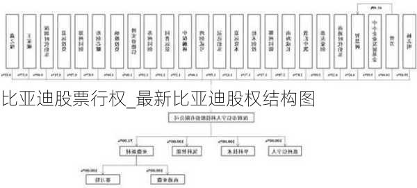 比亚迪股票行权_最新比亚迪股权结构图