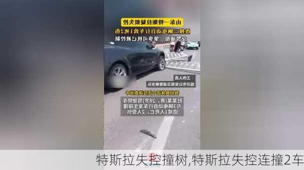 特斯拉失控撞树,特斯拉失控连撞2车