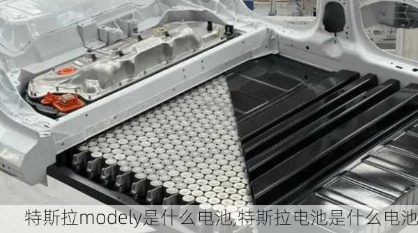 特斯拉modely是什么电池,特斯拉电池是什么电池