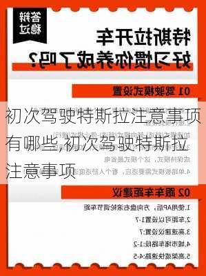 初次驾驶特斯拉注意事项有哪些,初次驾驶特斯拉注意事项