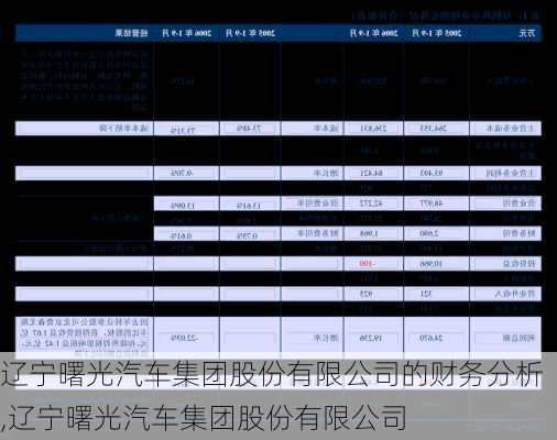 辽宁曙光汽车集团股份有限公司的财务分析,辽宁曙光汽车集团股份有限公司