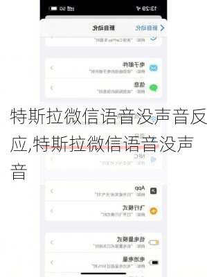 特斯拉微信语音没声音反应,特斯拉微信语音没声音