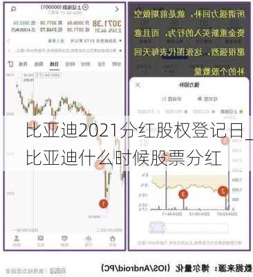 比亚迪2021分红股权登记日_比亚迪什么时候股票分红