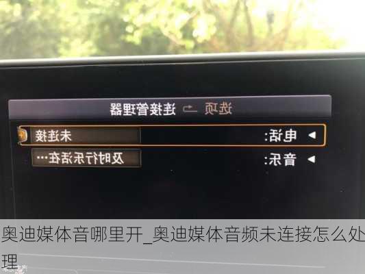 奥迪媒体音哪里开_奥迪媒体音频未连接怎么处理