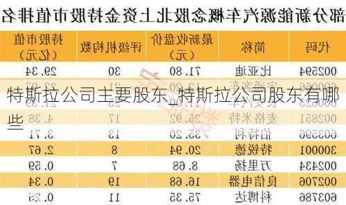 特斯拉公司主要股东_特斯拉公司股东有哪些