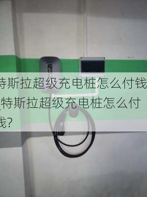 特斯拉超级充电桩怎么付钱_特斯拉超级充电桩怎么付钱?