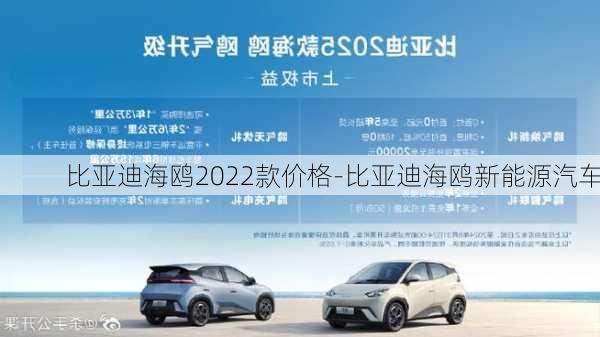 比亚迪海鸥2022款价格-比亚迪海鸥新能源汽车