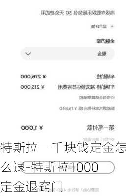 特斯拉一千块钱定金怎么退-特斯拉1000定金退窍门