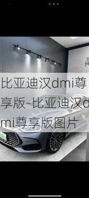 比亚迪汉dmi尊享版-比亚迪汉dmi尊享版图片