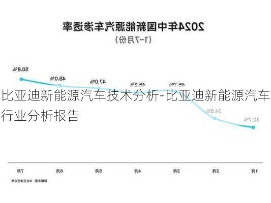 比亚迪新能源汽车技术分析-比亚迪新能源汽车行业分析报告