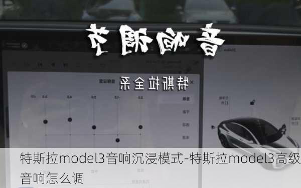 特斯拉model3音响沉浸模式-特斯拉model3高级音响怎么调