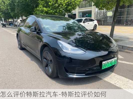 怎么评价特斯拉汽车-特斯拉评价如何