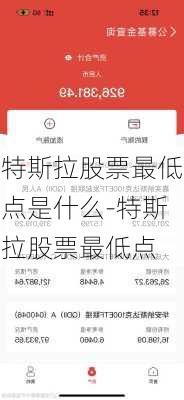 特斯拉股票最低点是什么-特斯拉股票最低点