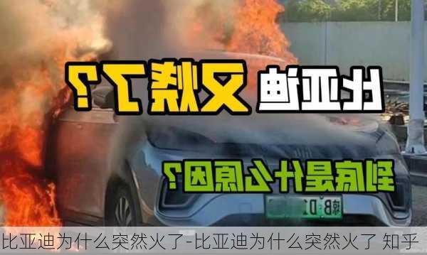 比亚迪为什么突然火了-比亚迪为什么突然火了 知乎