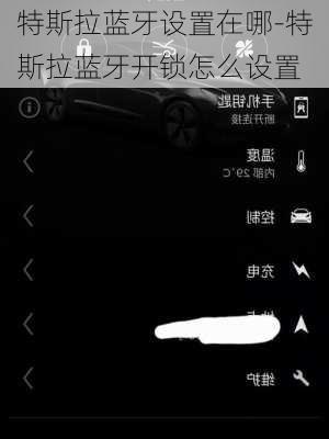 特斯拉蓝牙设置在哪-特斯拉蓝牙开锁怎么设置