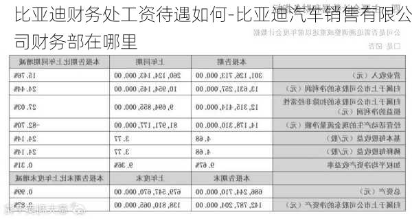 比亚迪财务处工资待遇如何-比亚迪汽车销售有限公司财务部在哪里