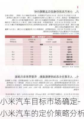 小米汽车目标市场确定-小米汽车的定价策略分析