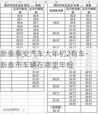 新泰泰安汽车大年初2有车-新泰市车辆在哪里年检