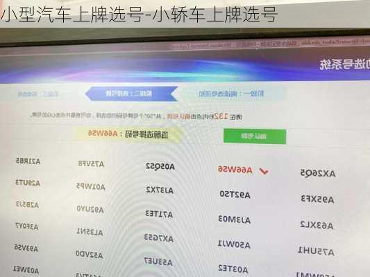 小型汽车上牌选号-小轿车上牌选号