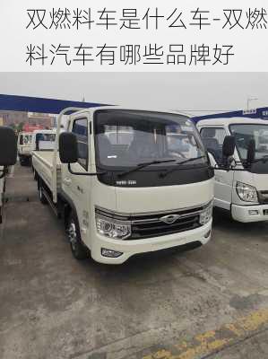 双燃料车是什么车-双燃料汽车有哪些品牌好