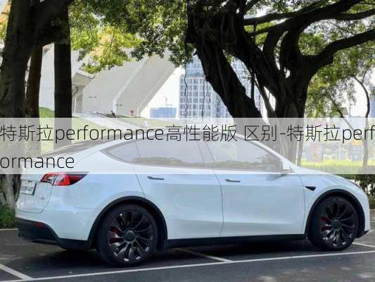 特斯拉performance高性能版 区别-特斯拉performance