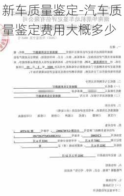 新车质量鉴定-汽车质量鉴定费用大概多少