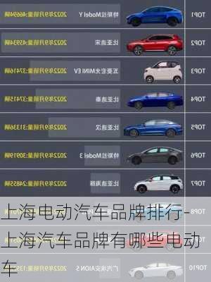 上海电动汽车品牌排行-上海汽车品牌有哪些电动车