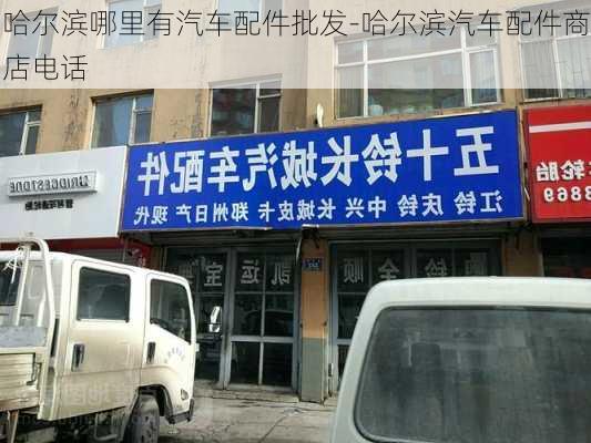 哈尔滨哪里有汽车配件批发-哈尔滨汽车配件商店电话