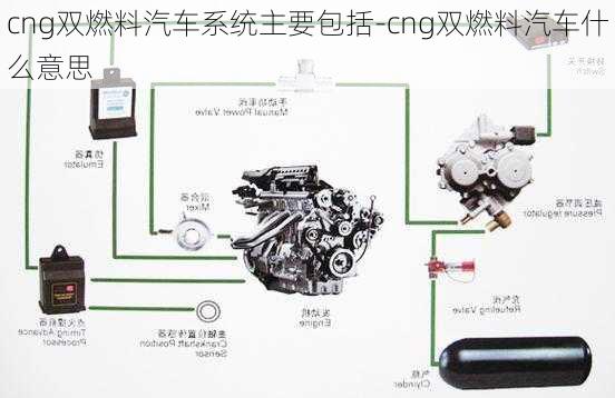 cng双燃料汽车系统主要包括-cng双燃料汽车什么意思