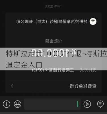 特斯拉定金1000如何退-特斯拉退定金入口