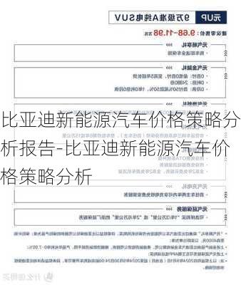 比亚迪新能源汽车价格策略分析报告-比亚迪新能源汽车价格策略分析