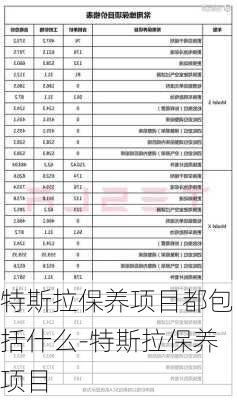 特斯拉保养项目都包括什么-特斯拉保养项目