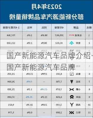 国产新能源汽车品牌介绍-国产新能源汽车品牌