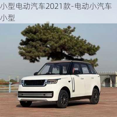 小型电动汽车2021款-电动小汽车小型