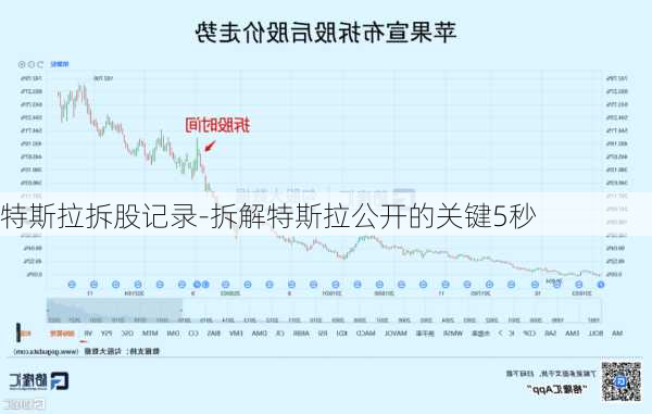 特斯拉拆股记录-拆解特斯拉公开的关键5秒