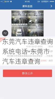 东莞汽车违章查询系统电话-东莞市汽车违章查询