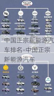 中国正宗新能源汽车排名-中国正宗新能源汽车