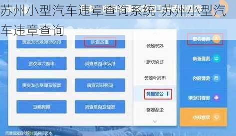 苏州小型汽车违章查询系统-苏州小型汽车违章查询