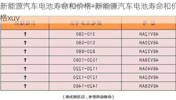 新能源汽车电池寿命和价格-新能源汽车电池寿命和价格xuv