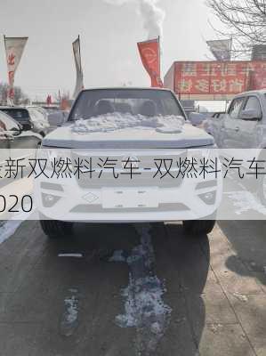 最新双燃料汽车-双燃料汽车2020