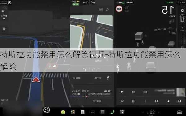 特斯拉功能禁用怎么解除视频-特斯拉功能禁用怎么解除