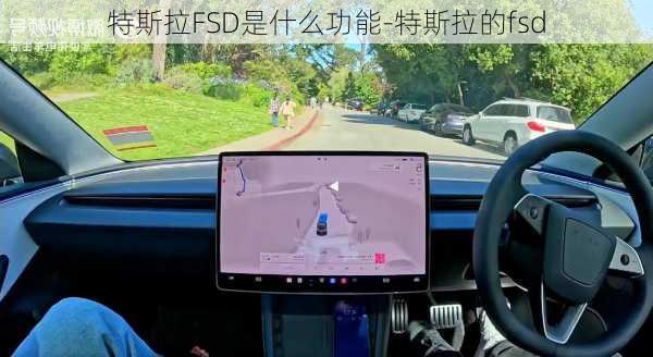 特斯拉FSD是什么功能-特斯拉的fsd