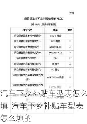 汽车下乡补贴车型表怎么填-汽车下乡补贴车型表怎么填的