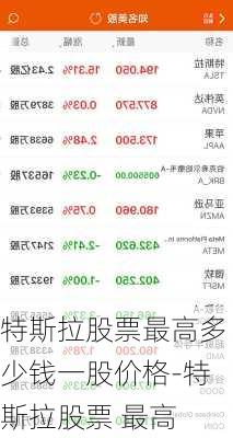 特斯拉股票最高多少钱一股价格-特斯拉股票 最高