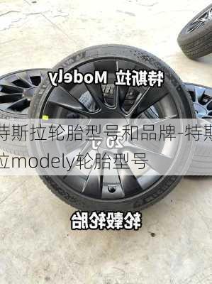 特斯拉轮胎型号和品牌-特斯拉modely轮胎型号